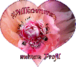 Herzlich Willkommen  PFINGSTEN