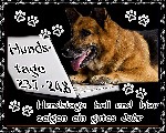 24   7   2015 HUNDSTAGE
